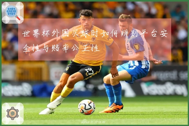 世界杯外围买球时如何辨别平台安全性与赔率公正性
