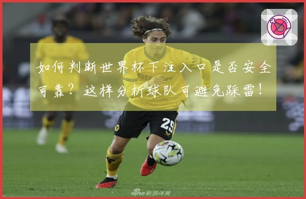 如何判断世界杯下注入口是否安全可靠？这样分析球队可避免踩雷！