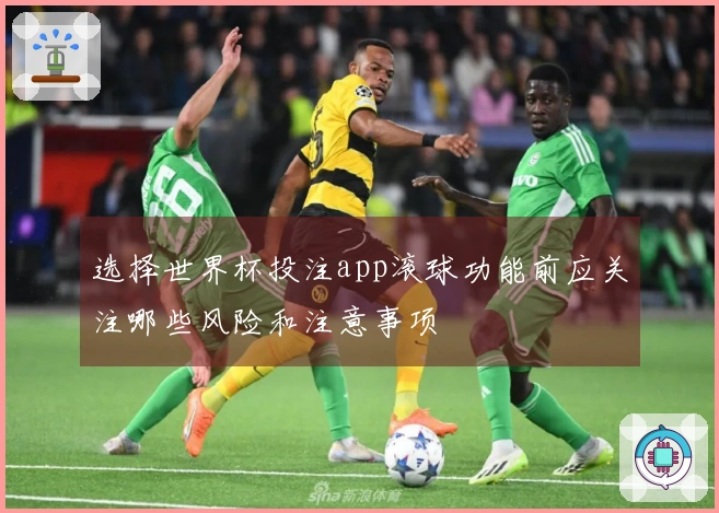 选择世界杯投注app滚球功能前应关注哪些风险和注意事项