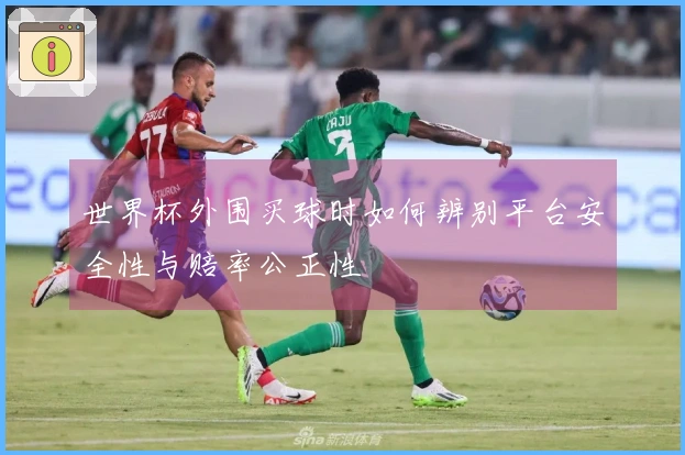 世界杯外围买球时如何辨别平台安全性与赔率公正性